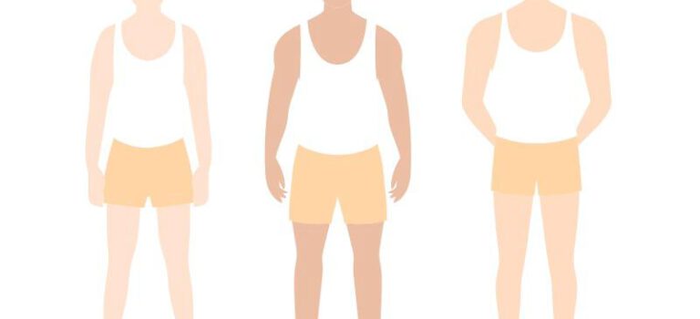 Drie verschillende lichaamstypes 3 Verschillende lichaamstypes